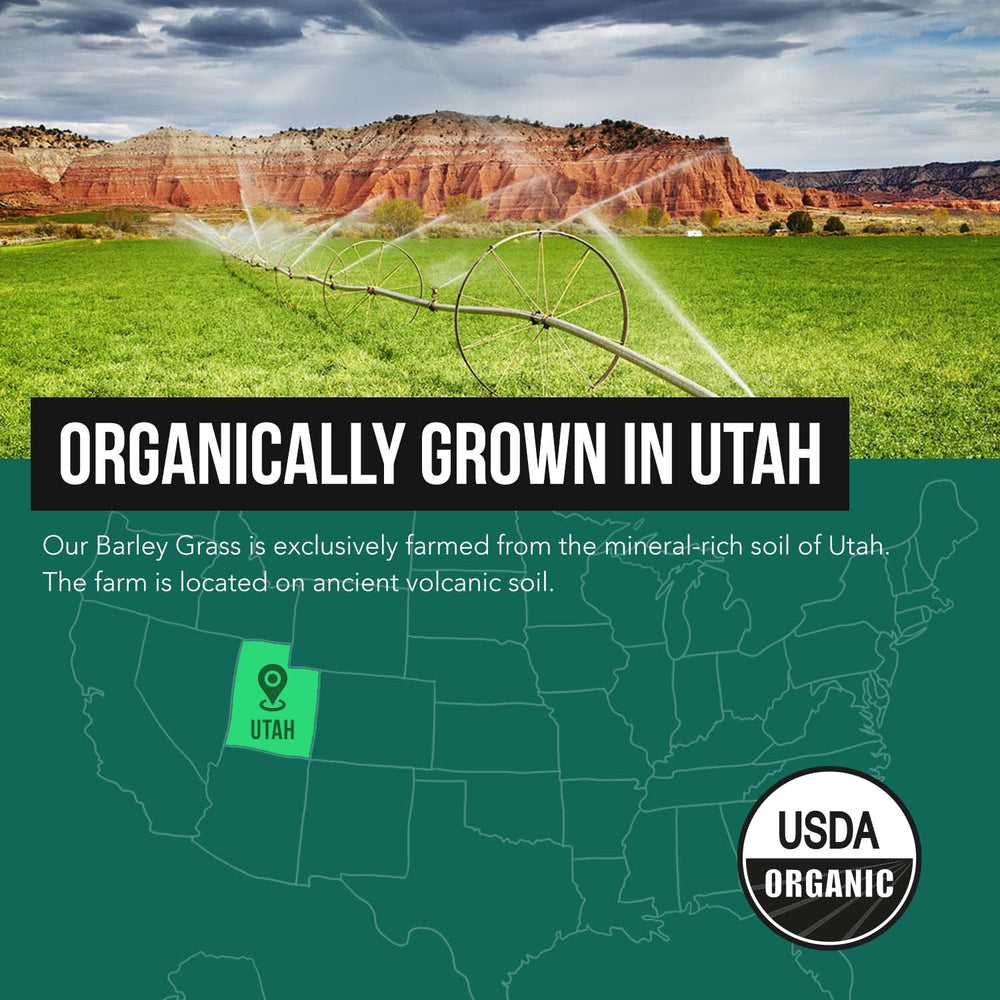 Gluten free GMO free vegan barley grass powder