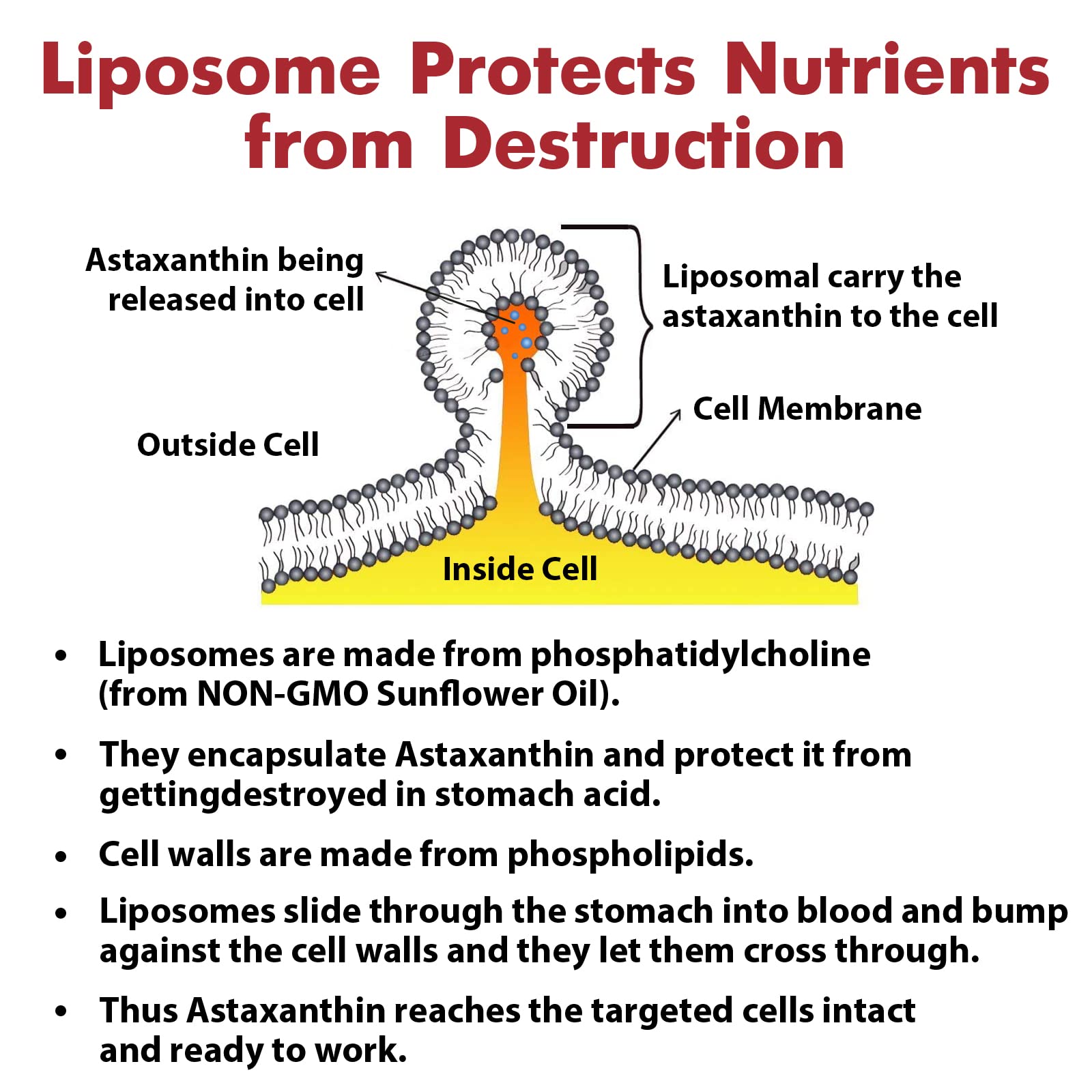 Gluten-free and allergen-free label on packaging