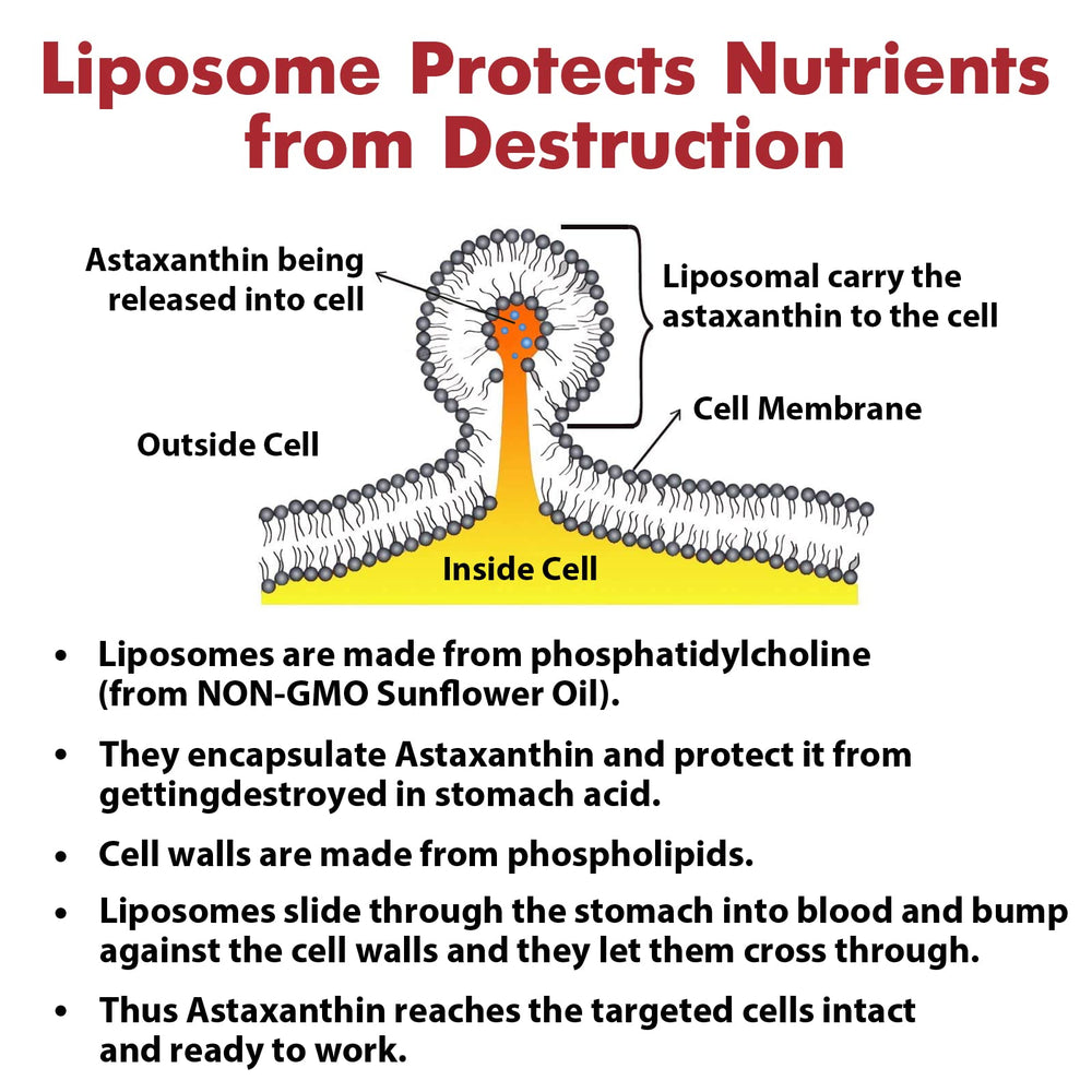 Gluten-free and allergen-free label on packaging