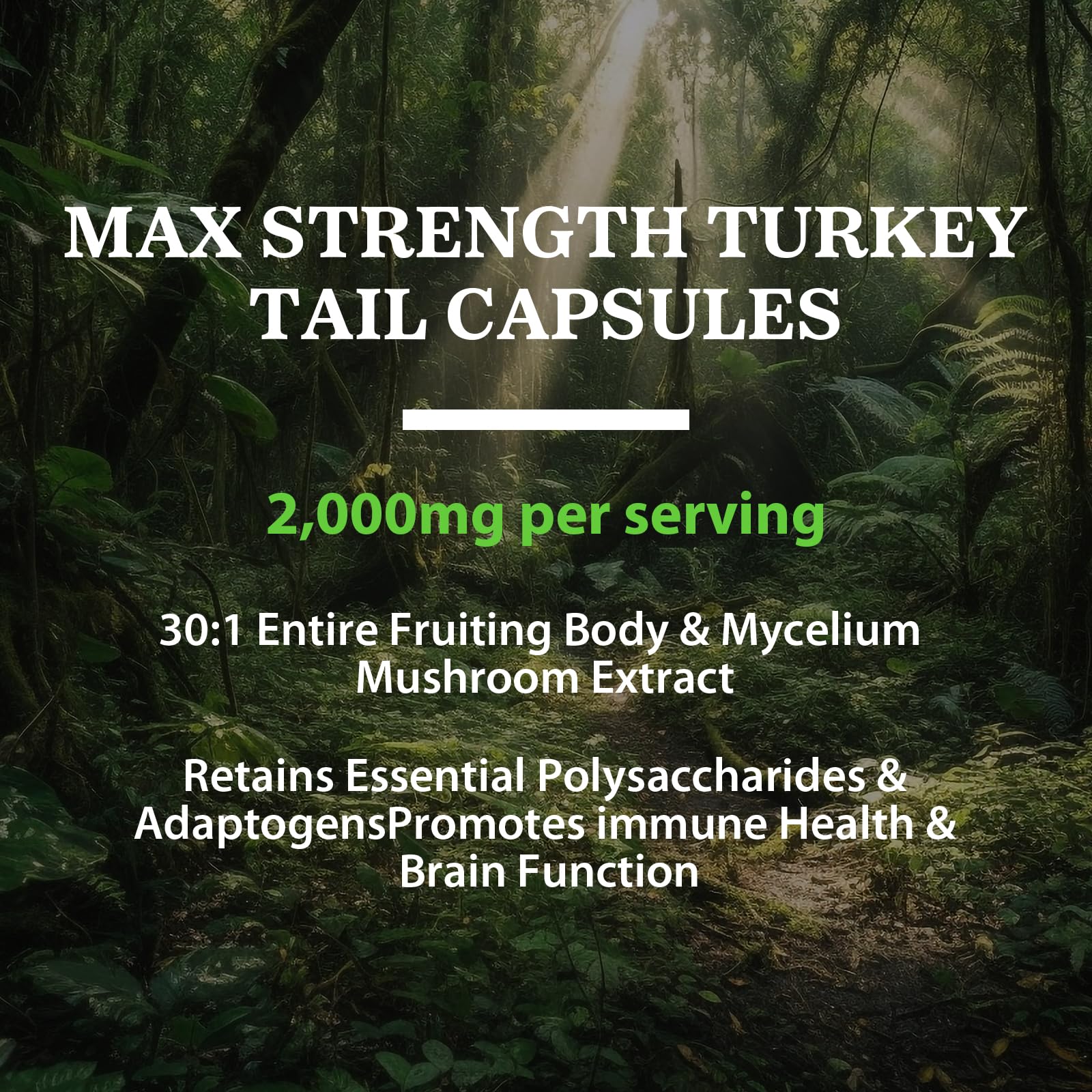 Gluten-free prebiotic turkey tail mushroom capsules
