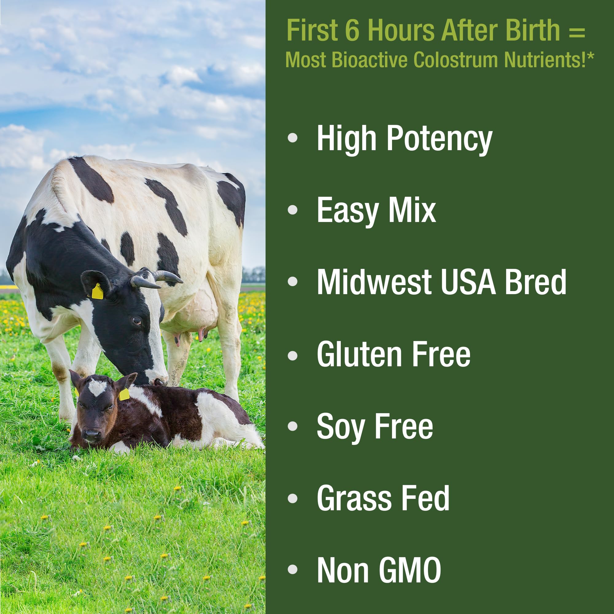 Gluten-free, soy-free, non-GMO colostrum powder