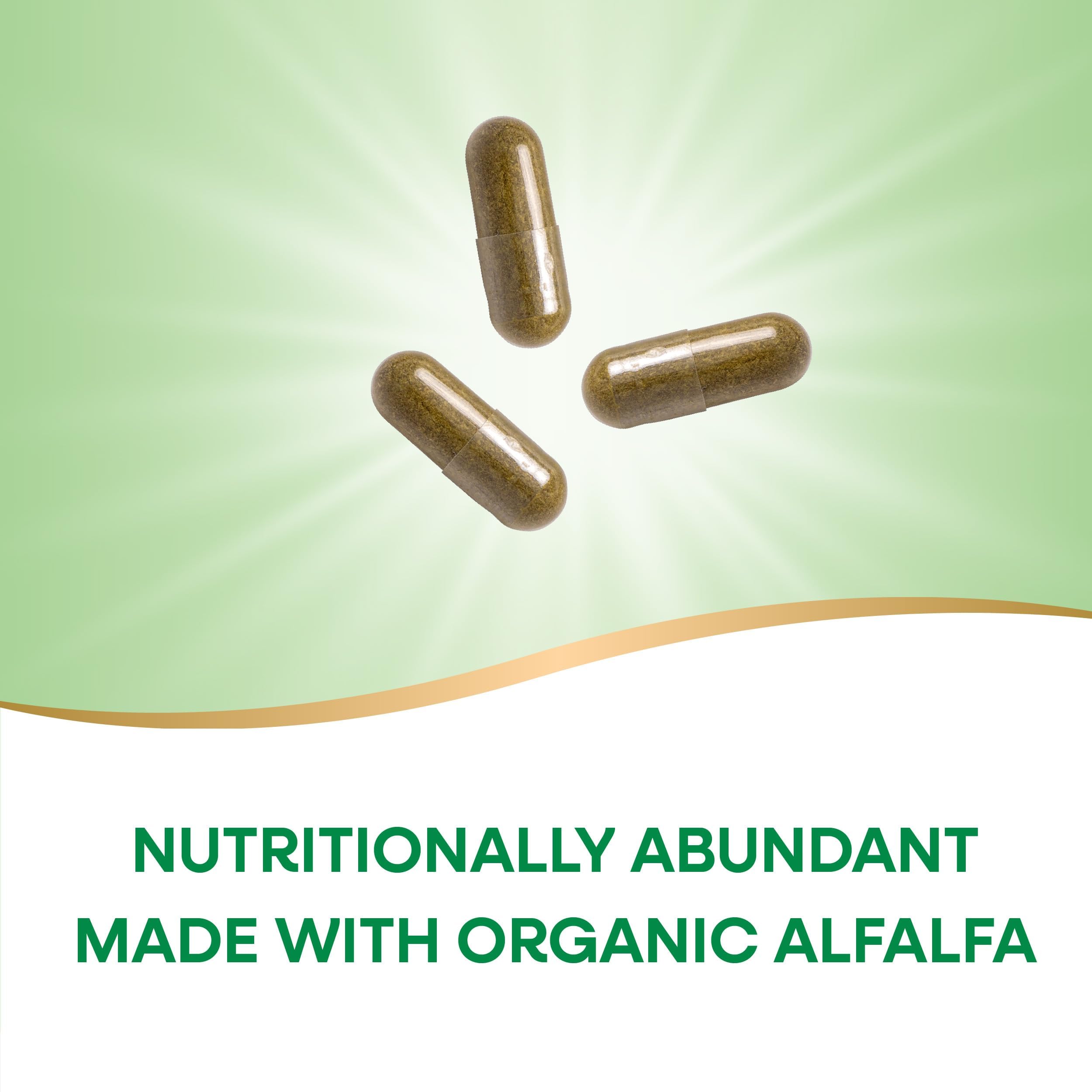 Gluten-free vegan alfalfa capsules