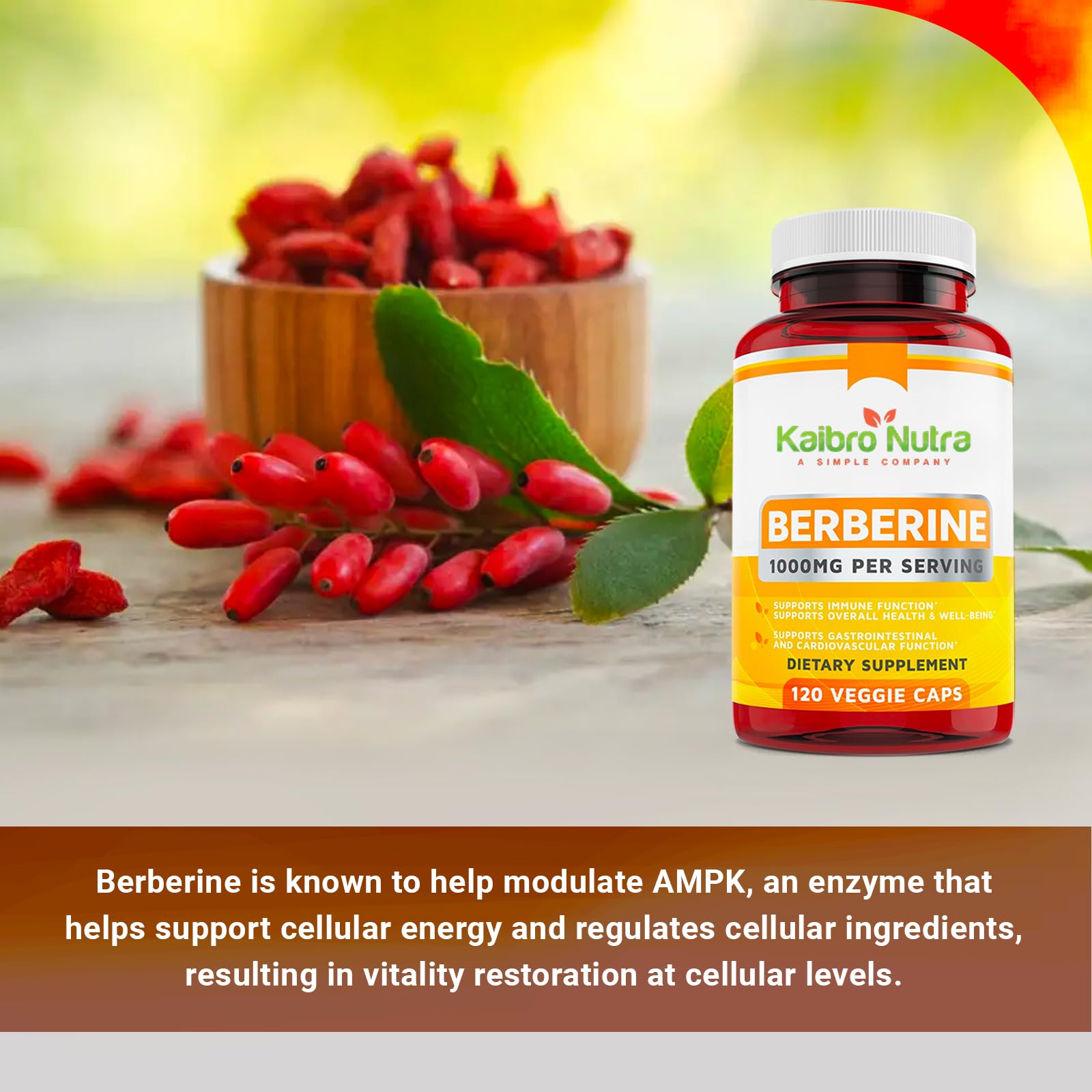 USA-made berberine supplement bottle produced under GMP