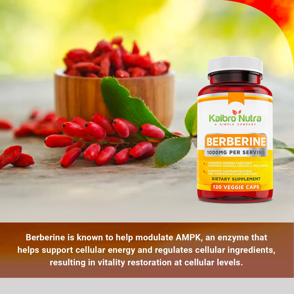 USA-made berberine supplement bottle produced under GMP