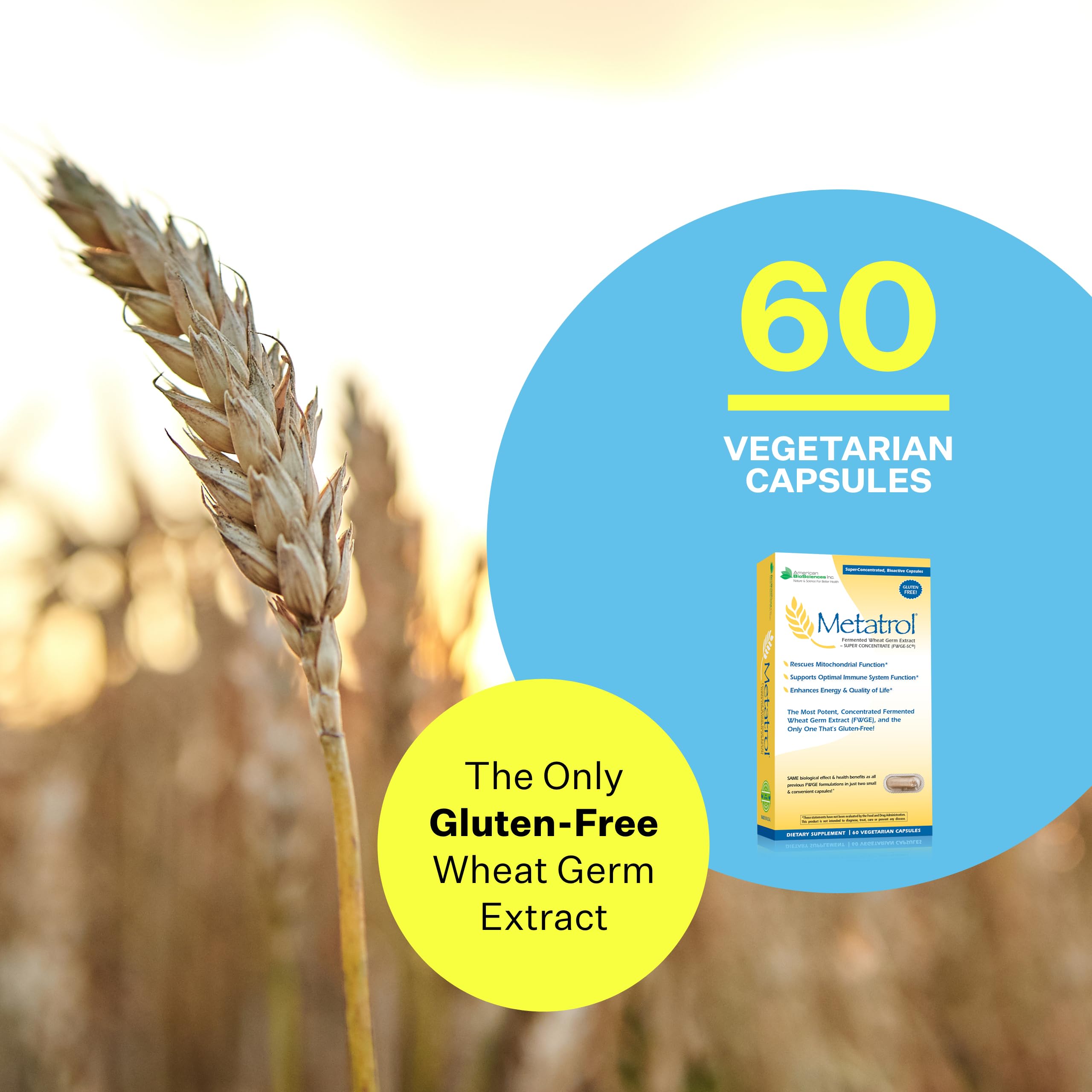 Gluten-free wheat germ supplement for immune health