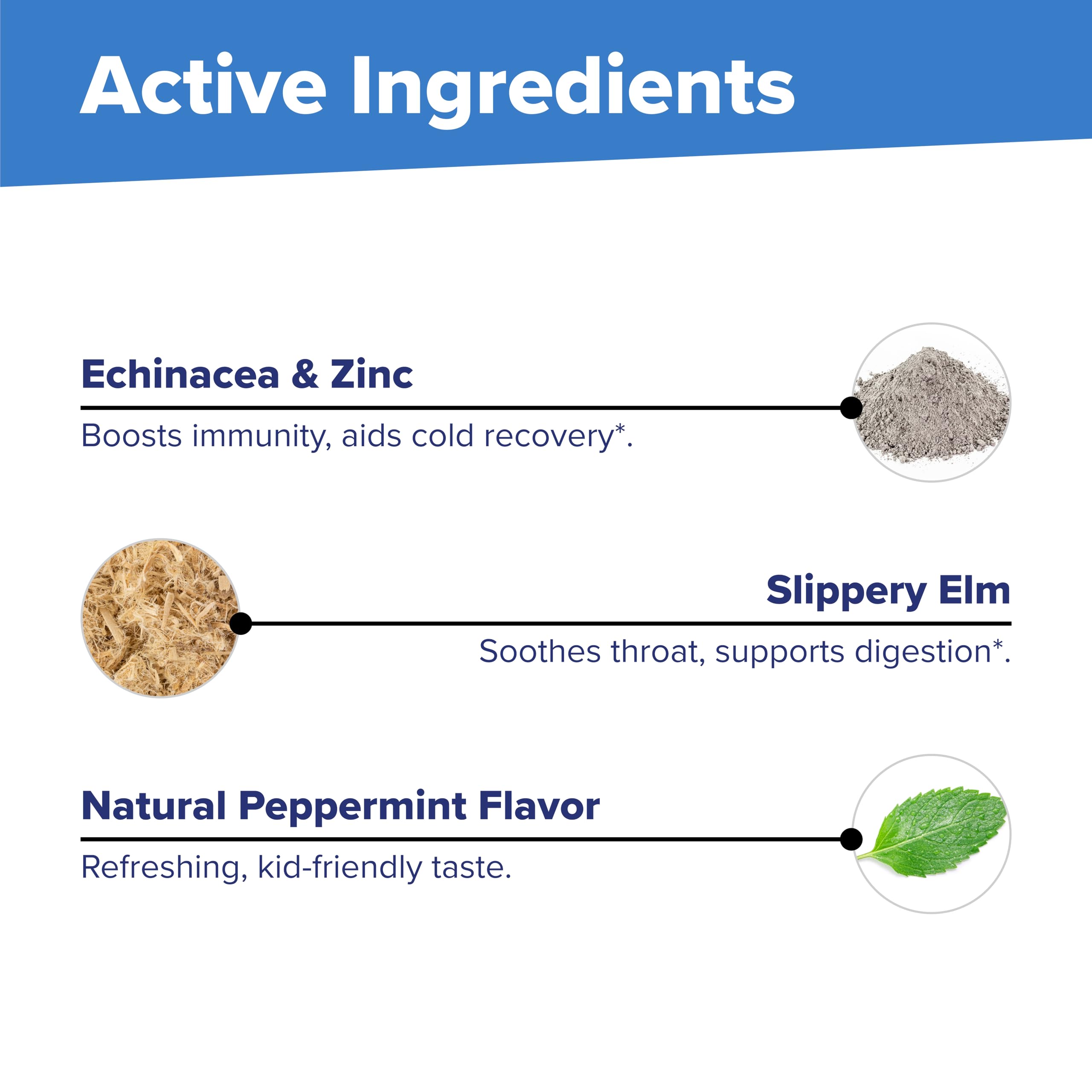 GMP-certified manufacturing facility interior