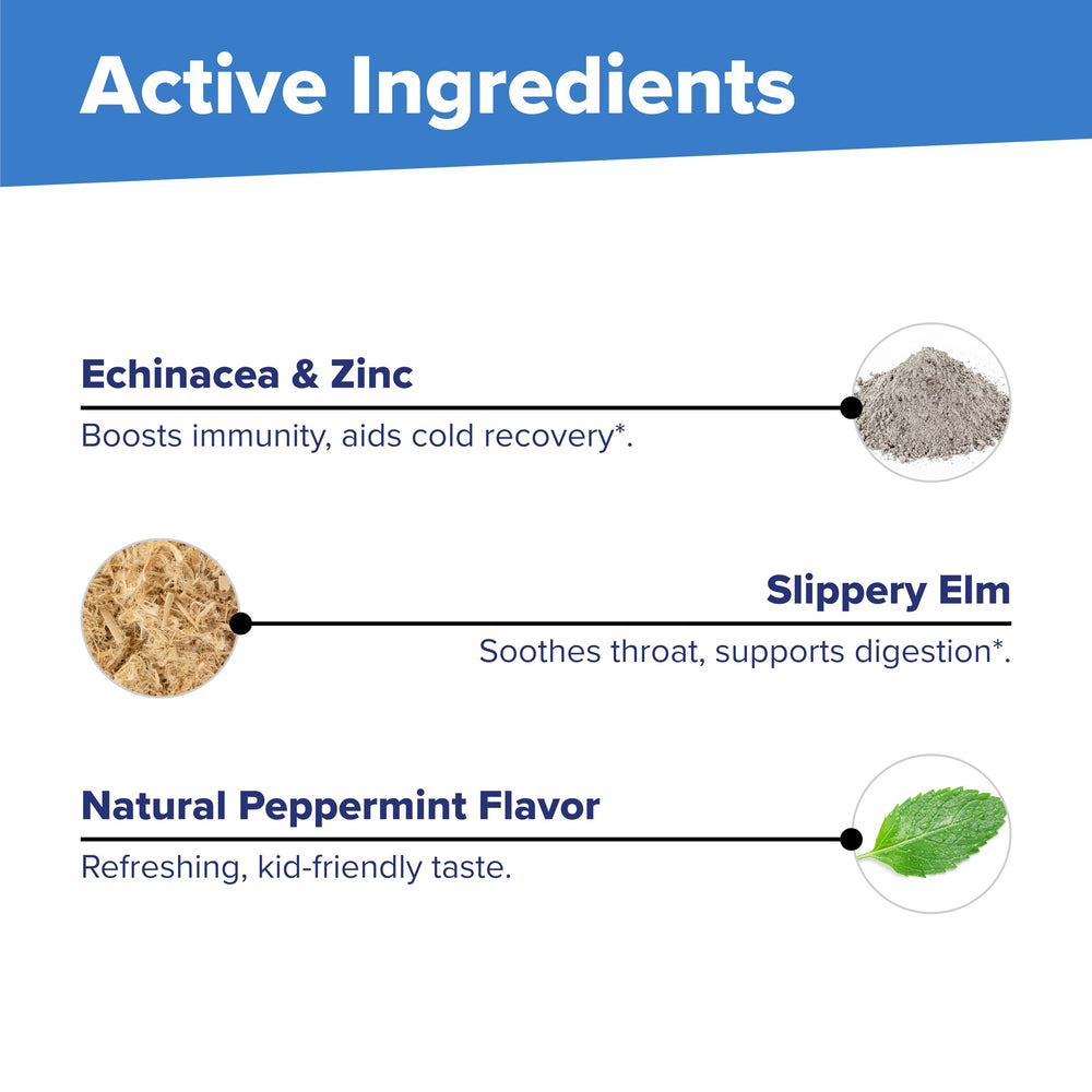 GMP-certified manufacturing facility interior