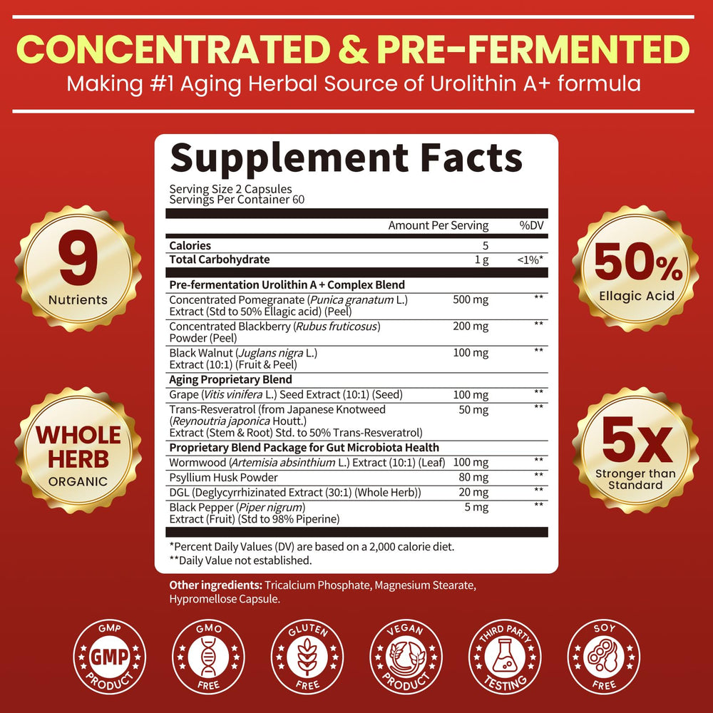 GMP-certified plant-based ingredients banner
