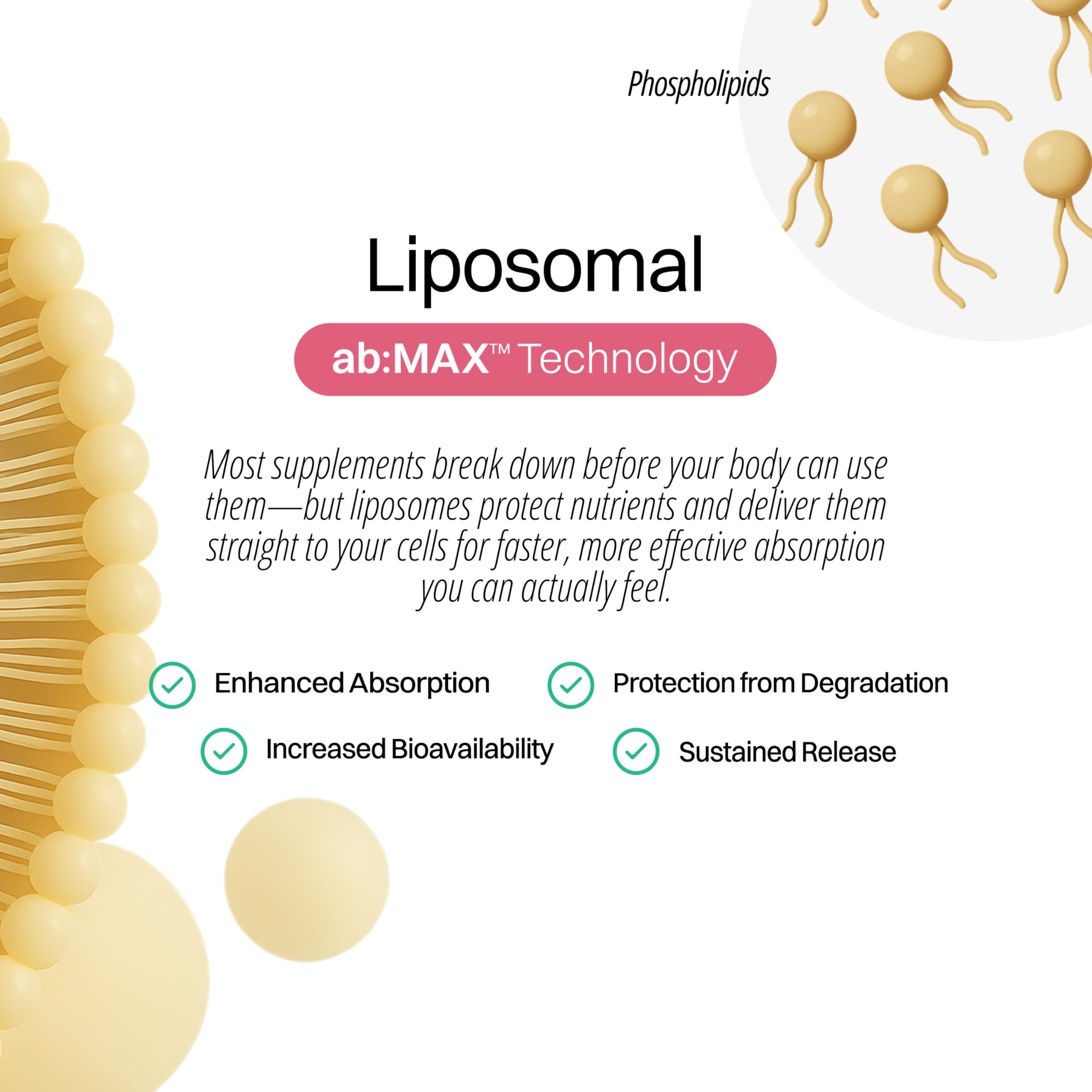 GMP-certified facility in South Korea with CryoTEM-verified liposomes