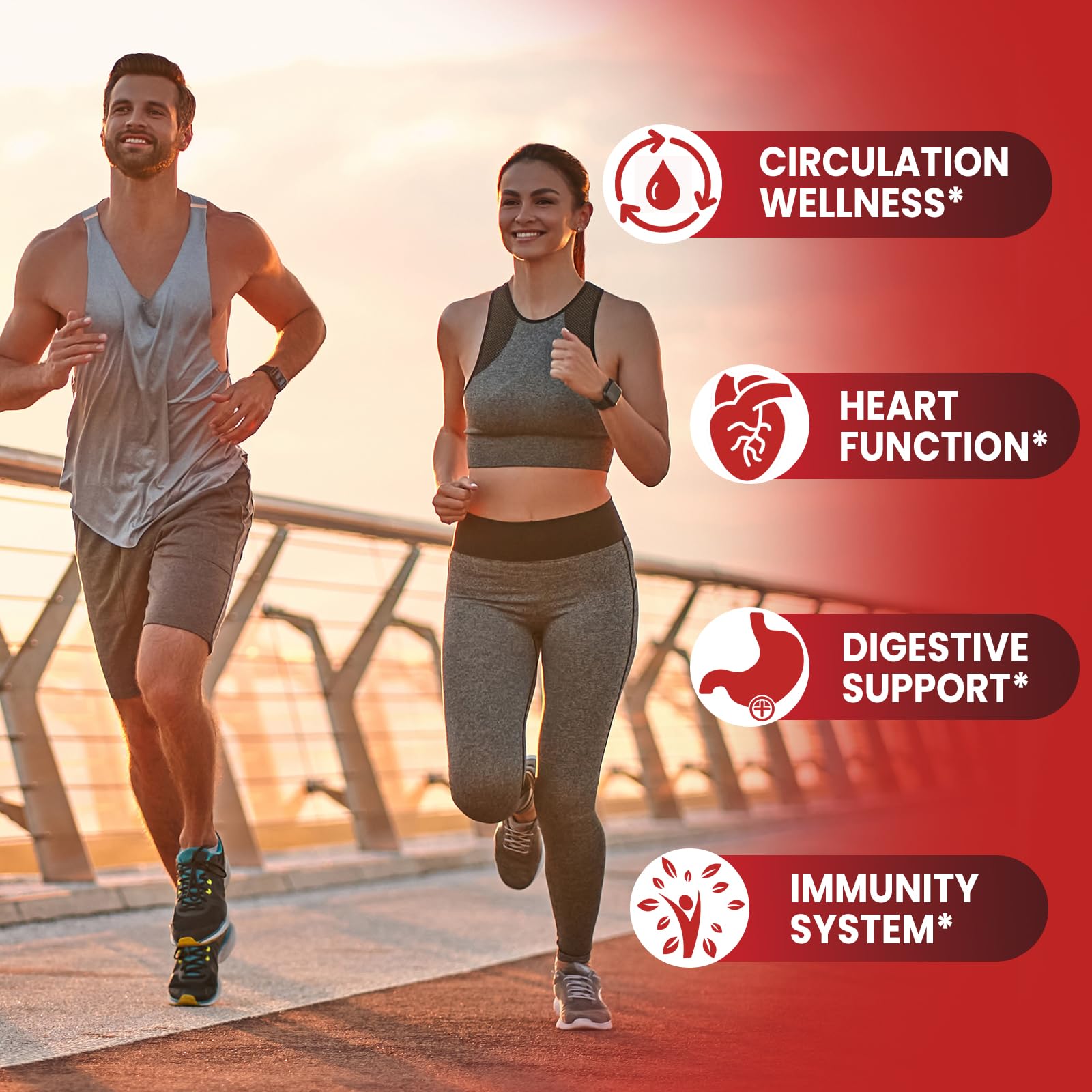 GMP-certified USA facility with third-party testing