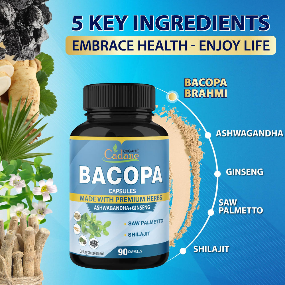 GMP and ISO-certified manufacturing facilities