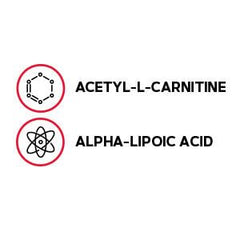 Nutrition facts panel for GNC Acetyl-L-Carnitine Alpha-Lipoic Acid 500mg
