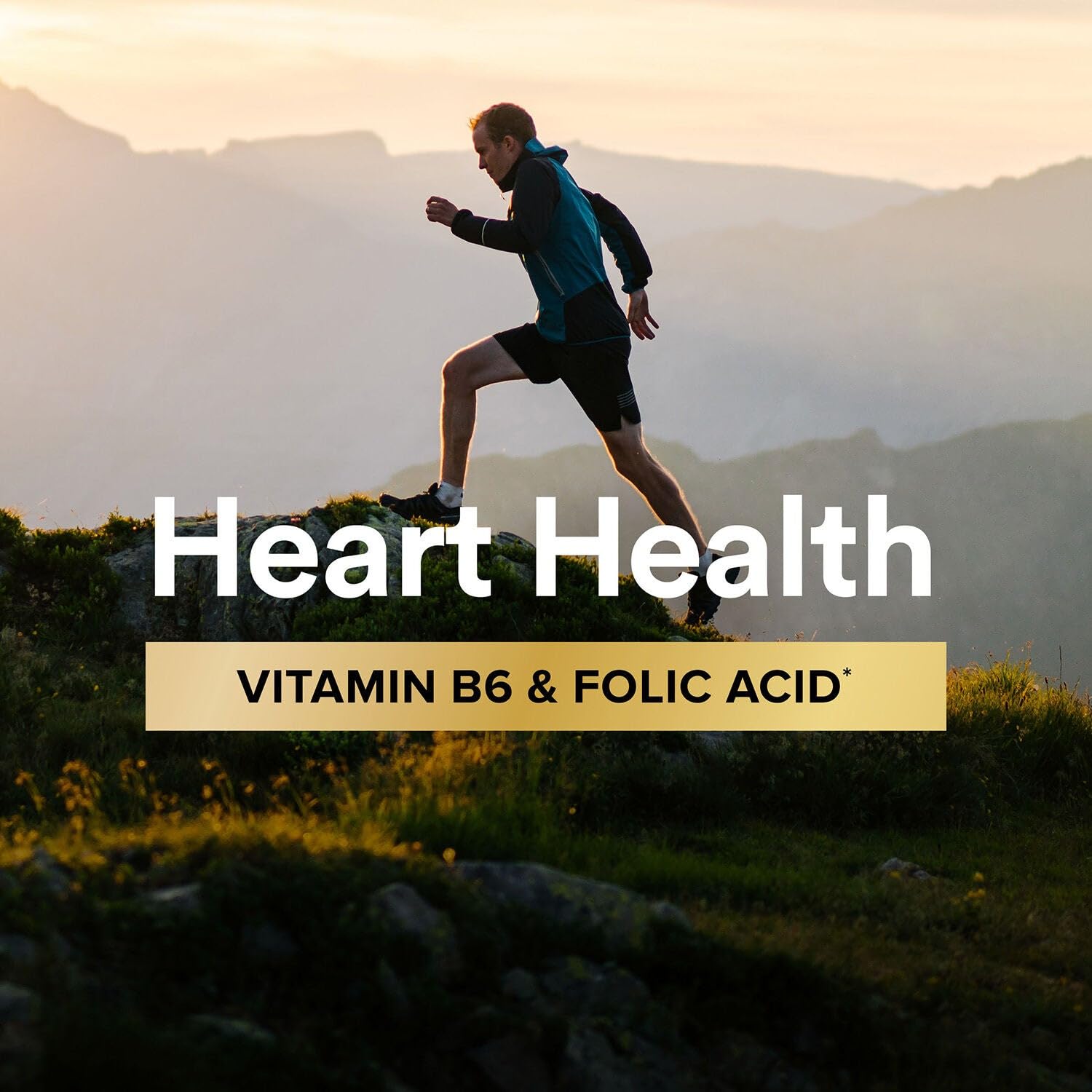 Heart health notes with B6 and folic acid on label