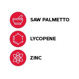 Graphic illustrating prostate health and urinary flow