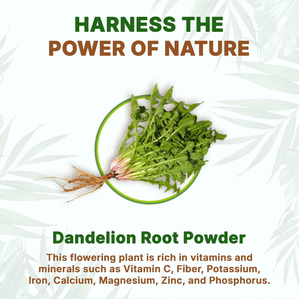 Antioxidants and micronutrients in dandelion root powder
