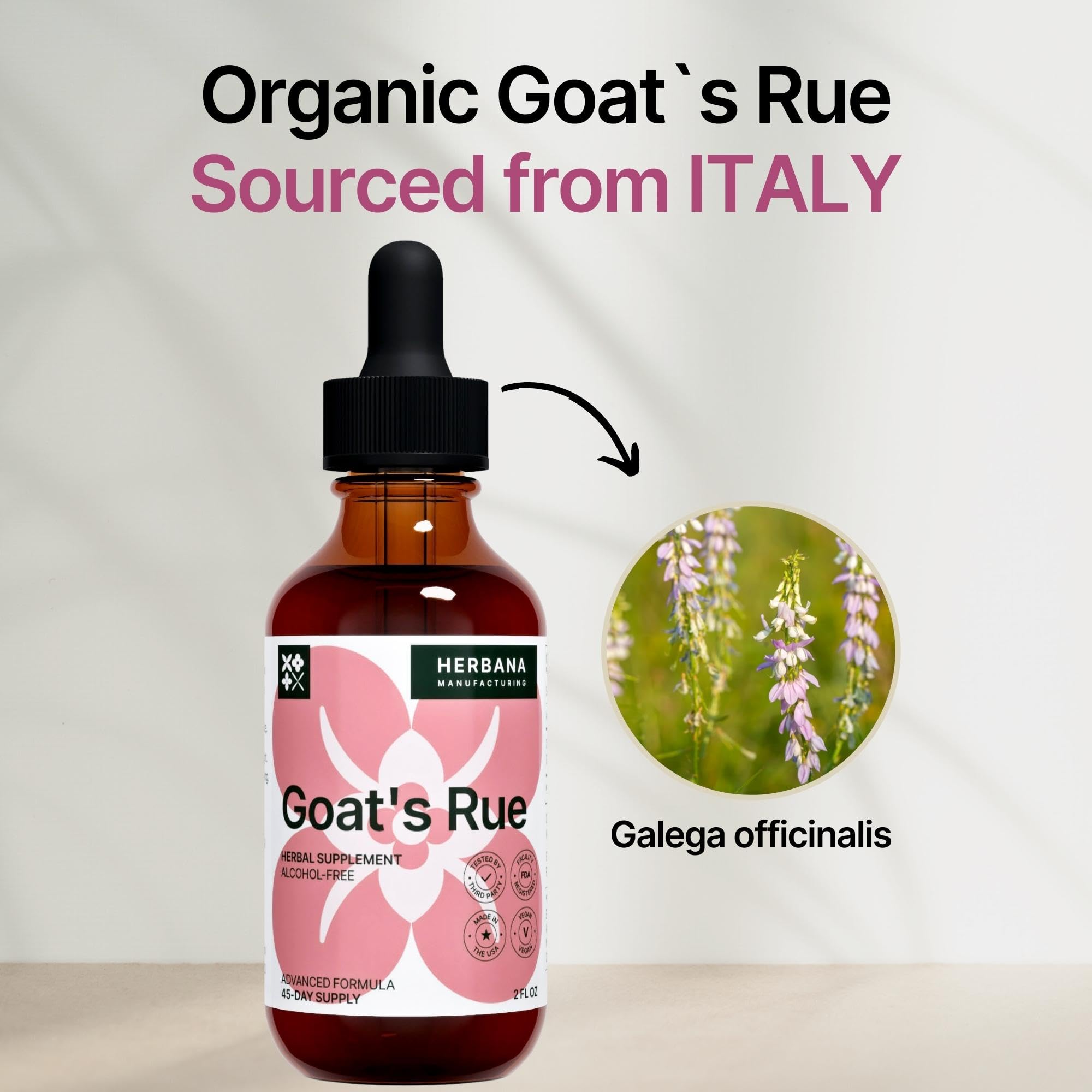 Goat's Rue Liquid Extract 2 oz label close-up