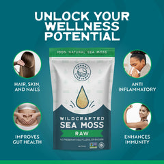 Raw gold sea moss 4oz Non-GMO package