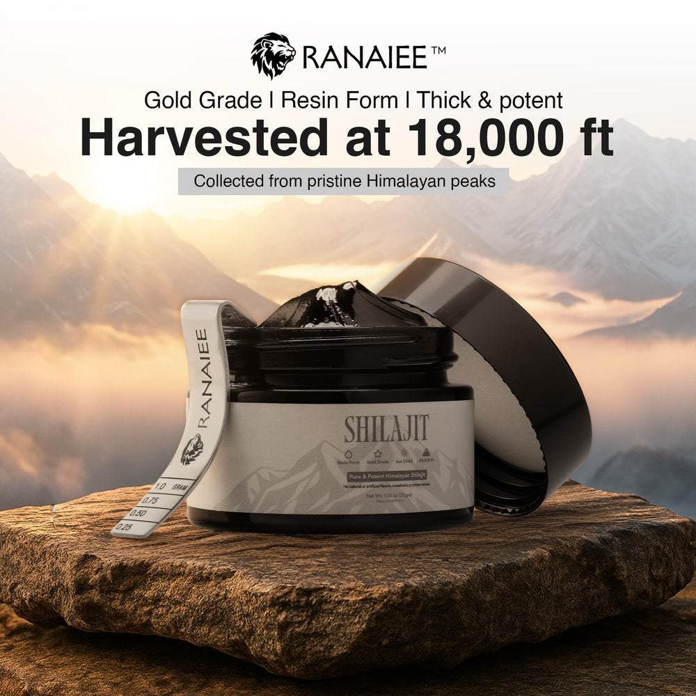 Copper spoon serving a pea-sized amount of Shilajit resin