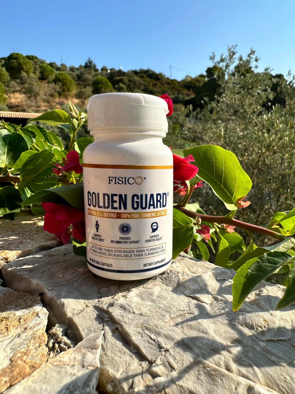 Golden Guard Fisico Turmeric Extract packaging with BCM-95 branding