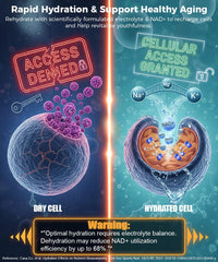 Golden Nourish zero-sugar label closeup underscores keto-friendly hydration.