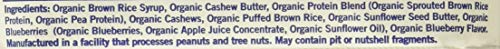 Pack of 12 GOMACRO Organic Blueberry Cashew Butter Bars on display