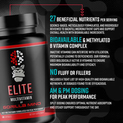 Illustration of biologically active B vitamins and minerals