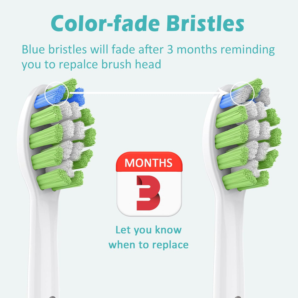 GottaShine replacement heads with genuine bristles and vibration tech