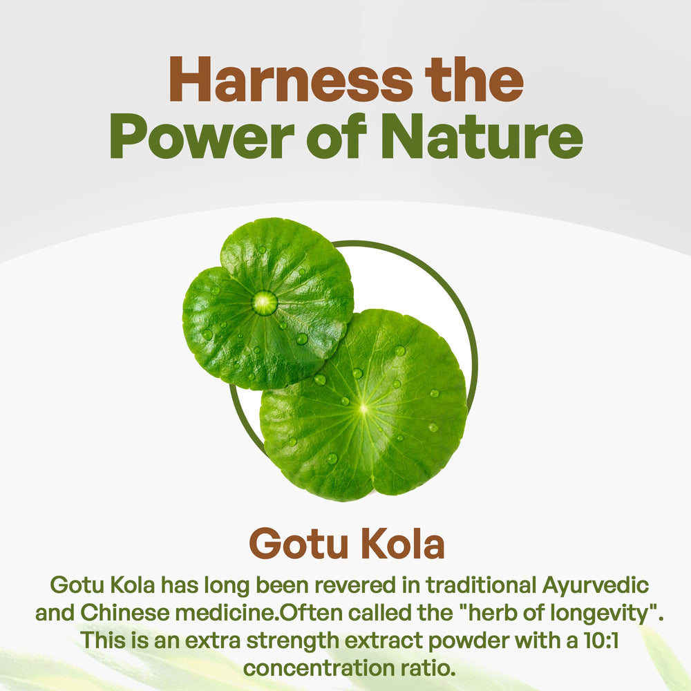 8 oz Gotu Kola extract powder package
