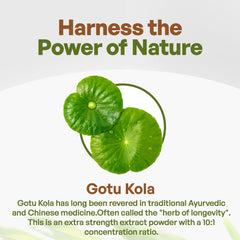 8 oz Gotu Kola extract powder package