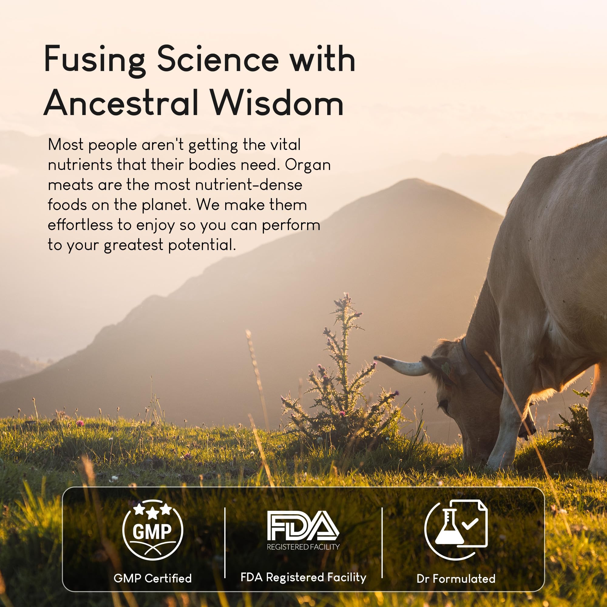 Grass-fed beef heart organ supplement