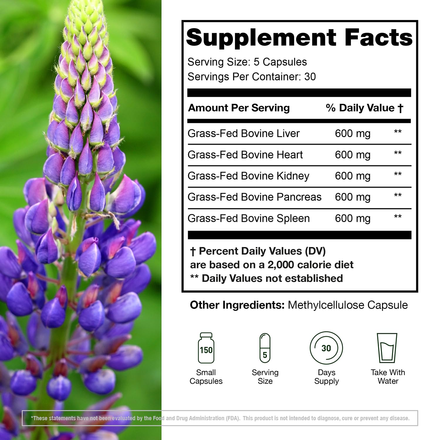 Desiccated beef liver, heart, kidney, pancreas, and spleen capsules close-up