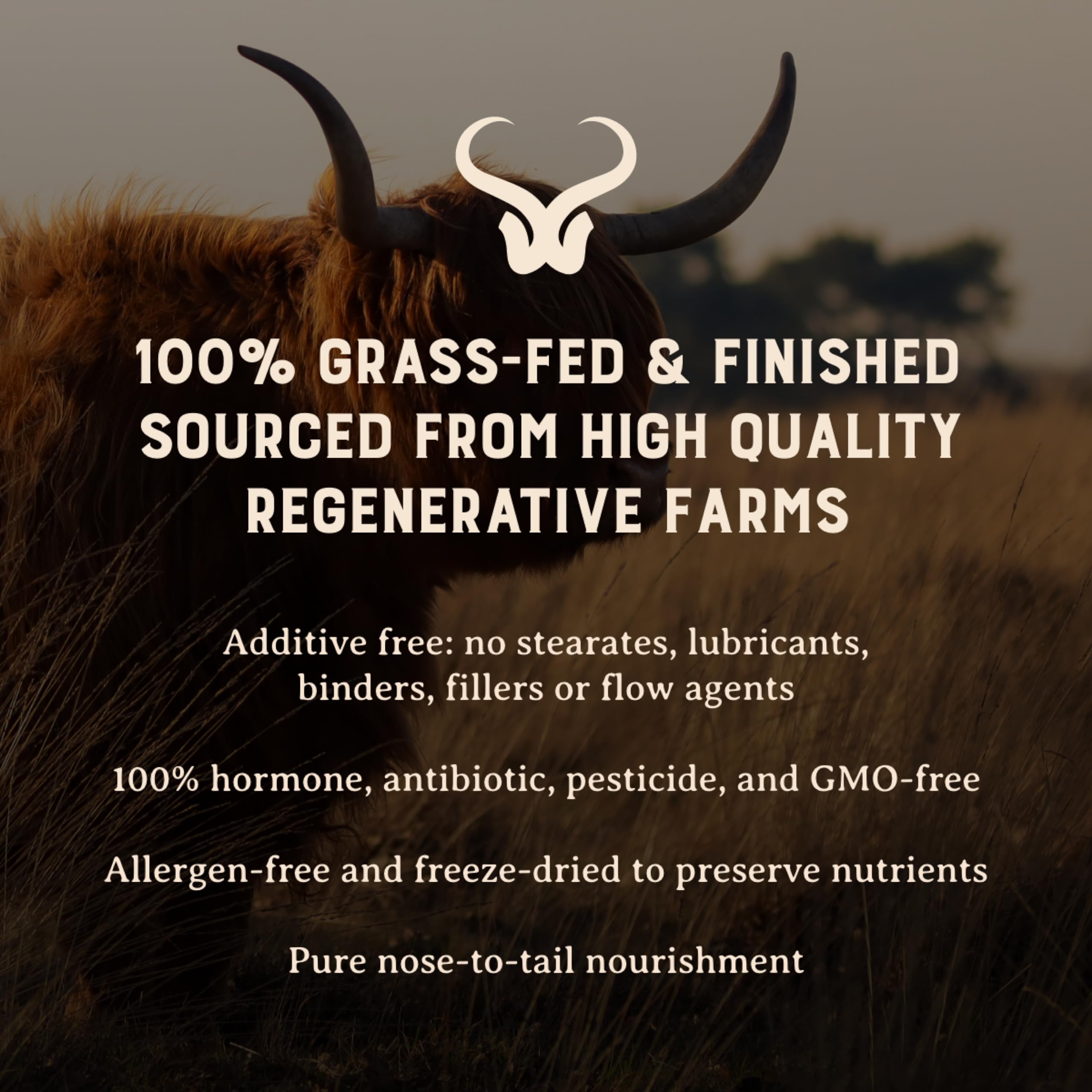 Grass-fed beef organs nutrition benefits