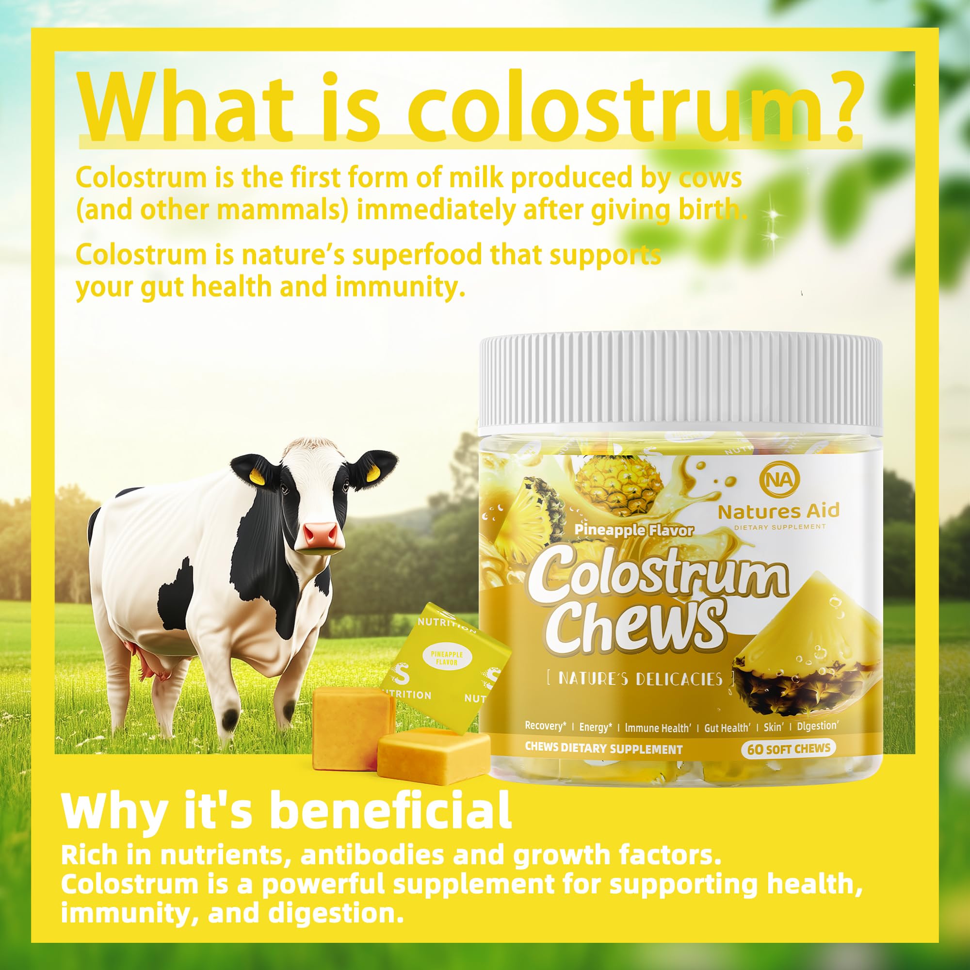 Grass-fed bovine colostrum chews with pineapple flavor
