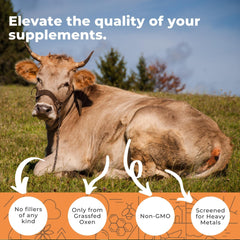 Close-up of Ox Bile Capsules for digestive health