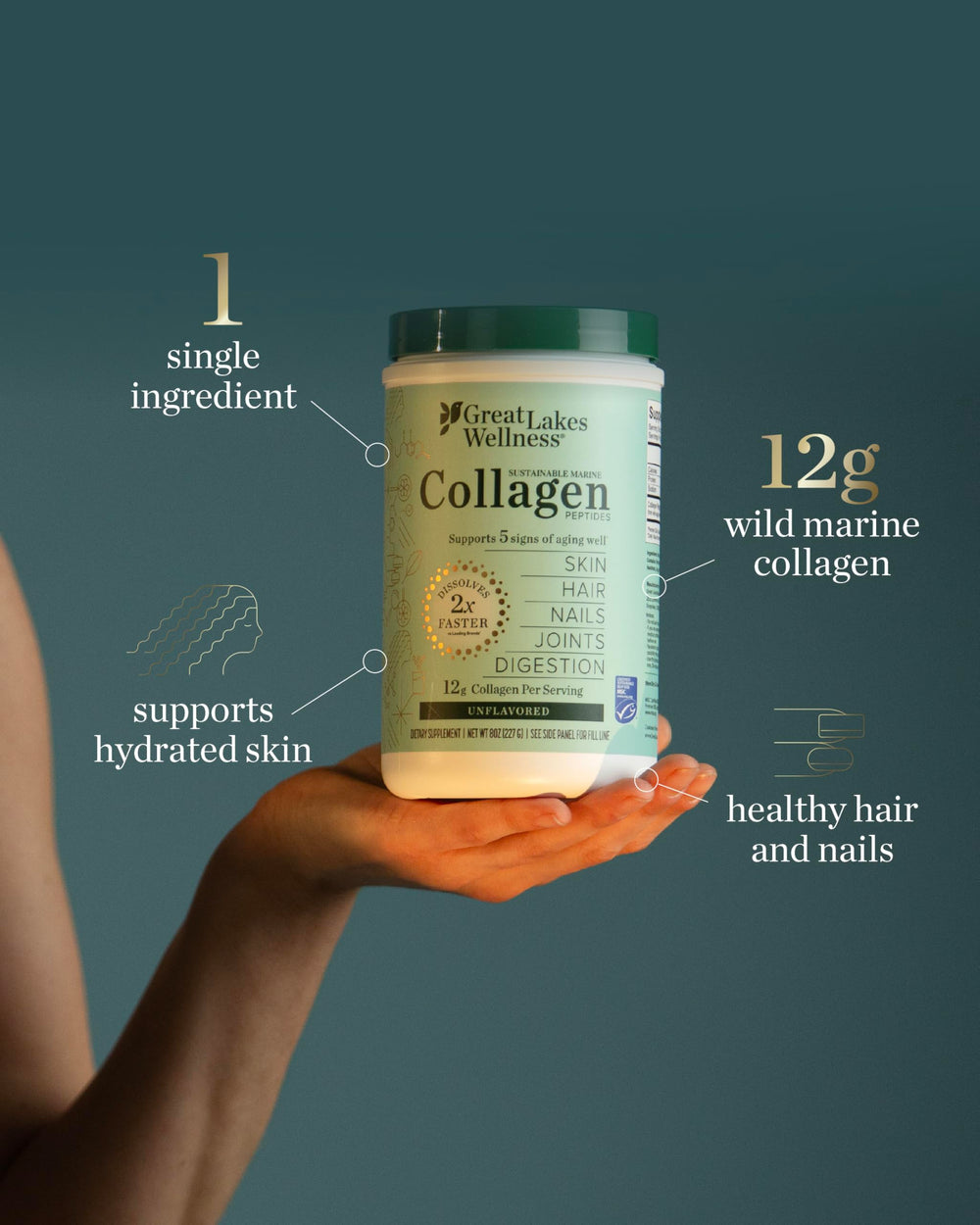 Wild-caught marine collagen source for sustainability