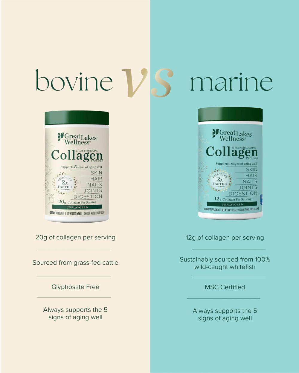 MSC certified sustainable marine collagen