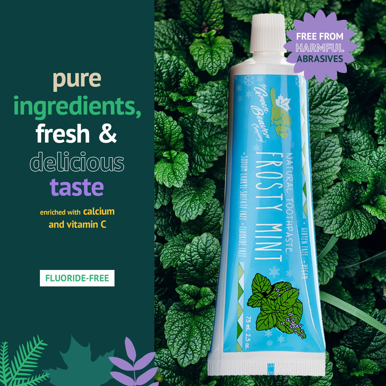 Zesty Orange flavor Green Beaver toothpaste packaging