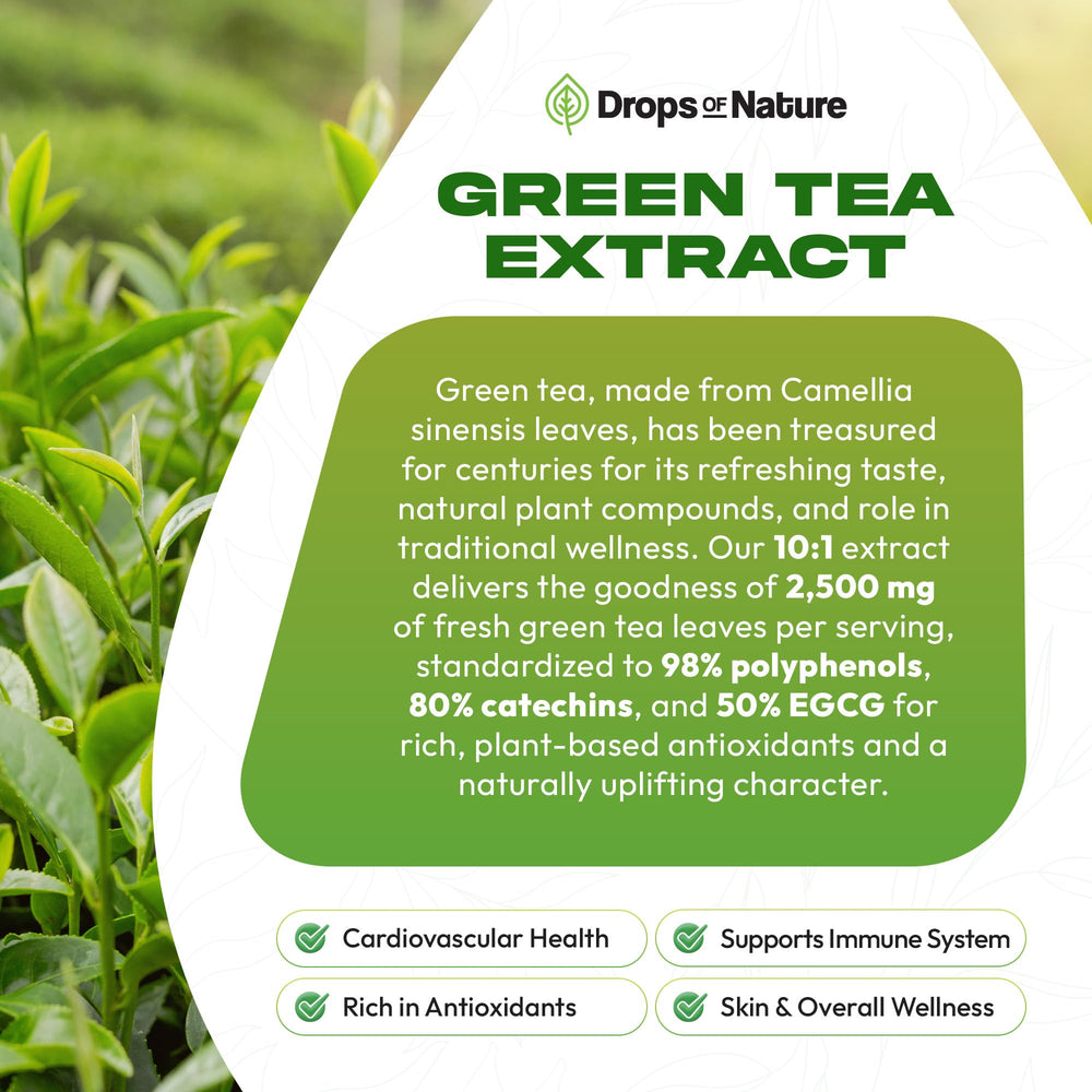 Illustration of catechins and polyphenols in green tea