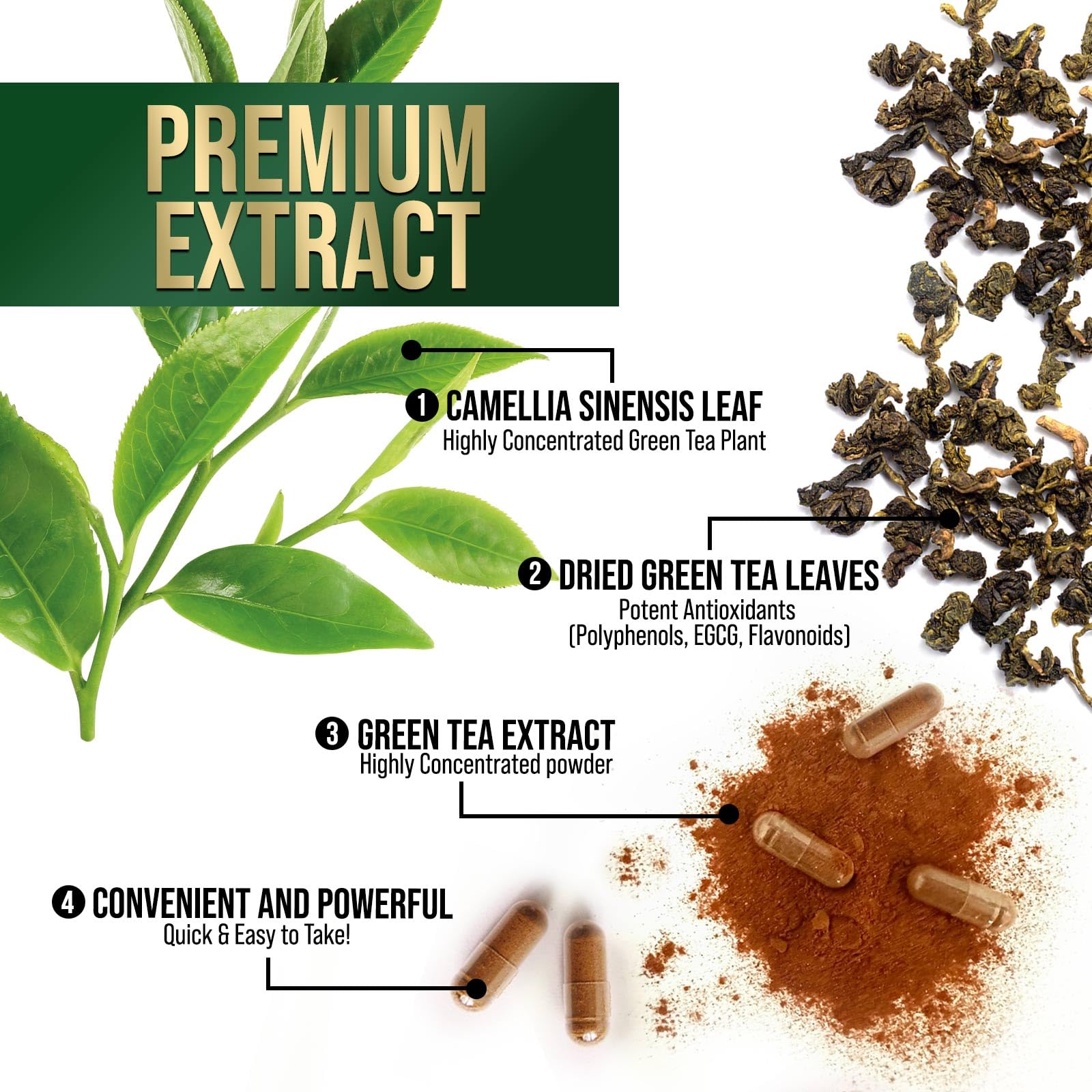 Natural ingredients: vegetable cellulose capsule and vegan formula