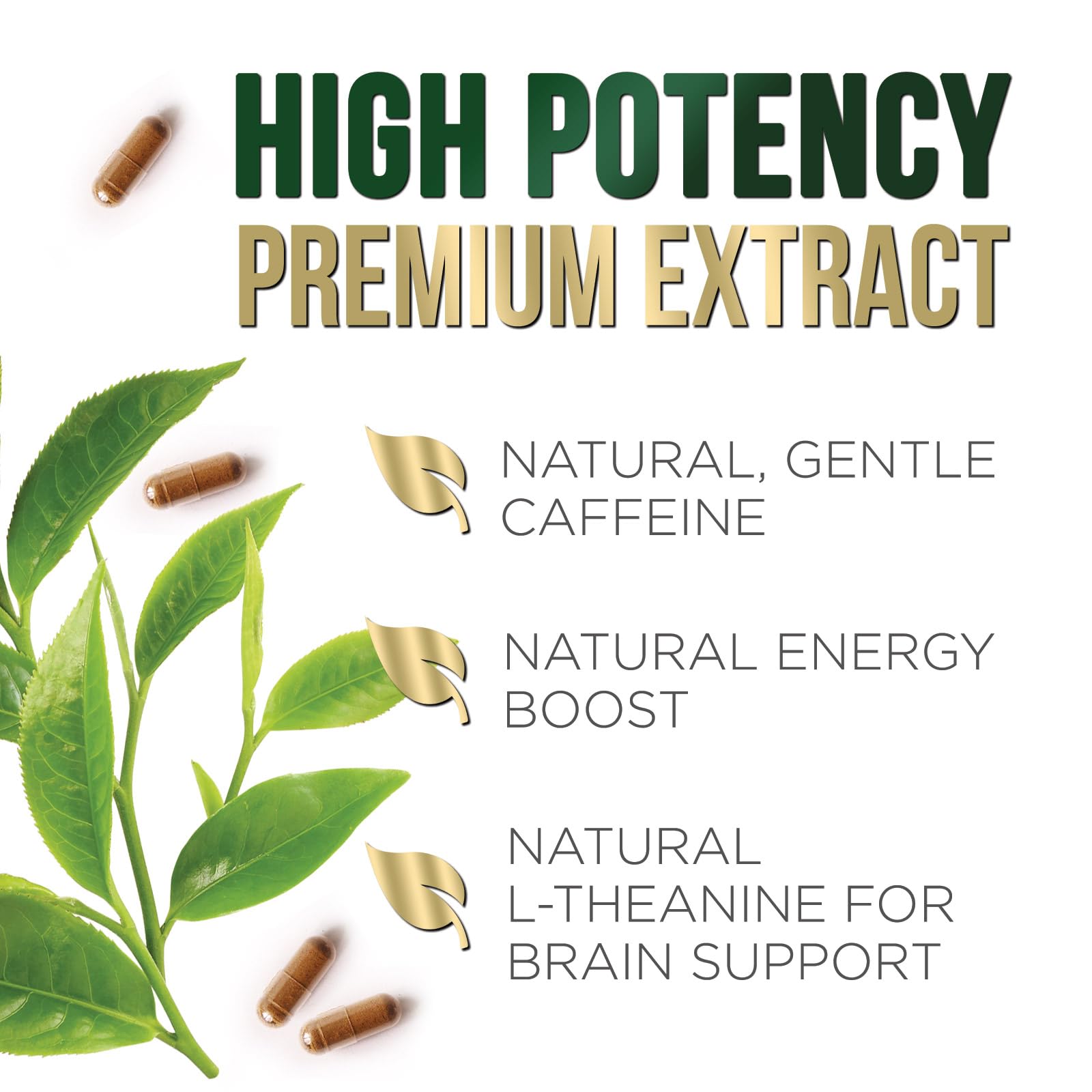 Serving size and caffeine plus L-Theanine synergy visual