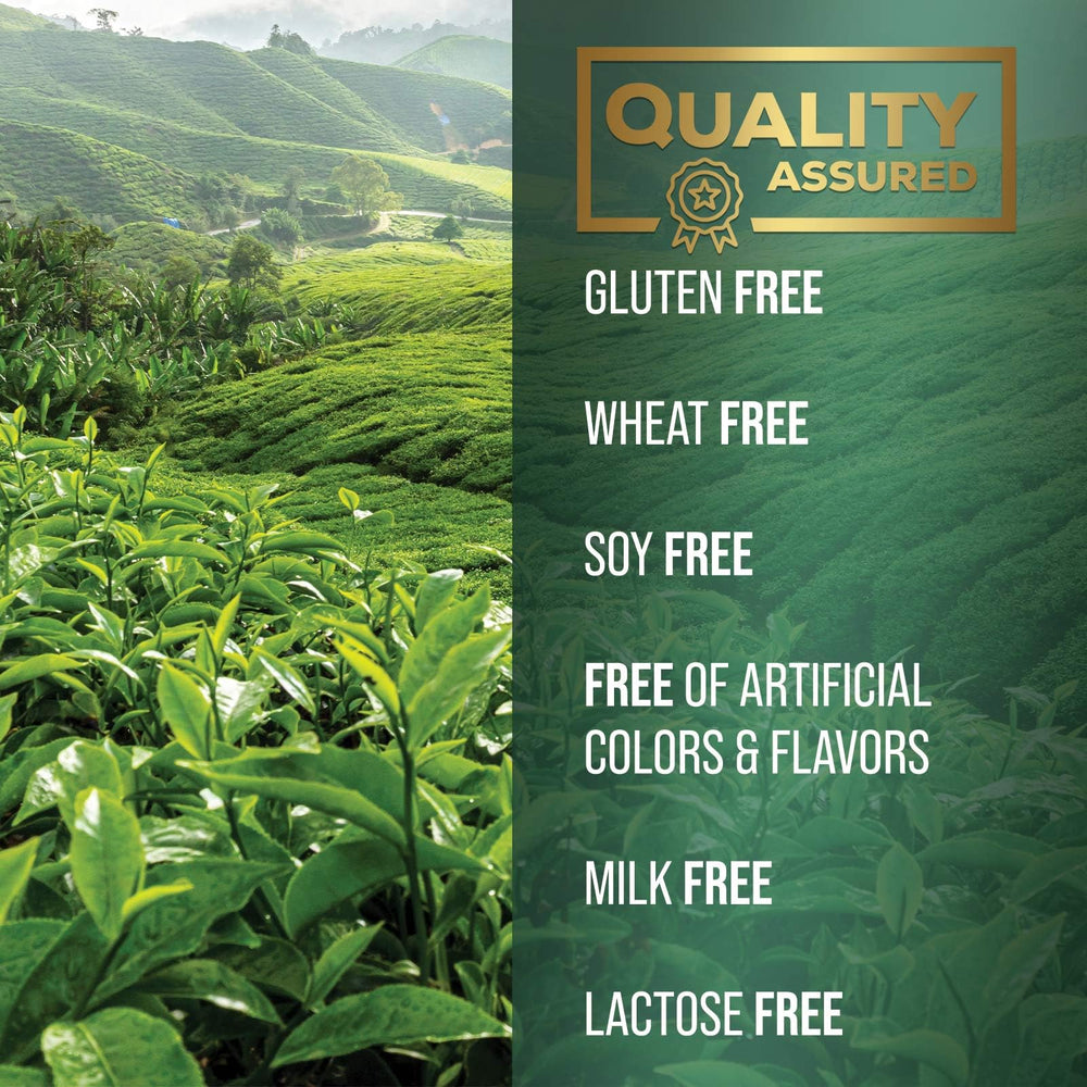 Graphic showing antioxidants and polyphenols in green tea