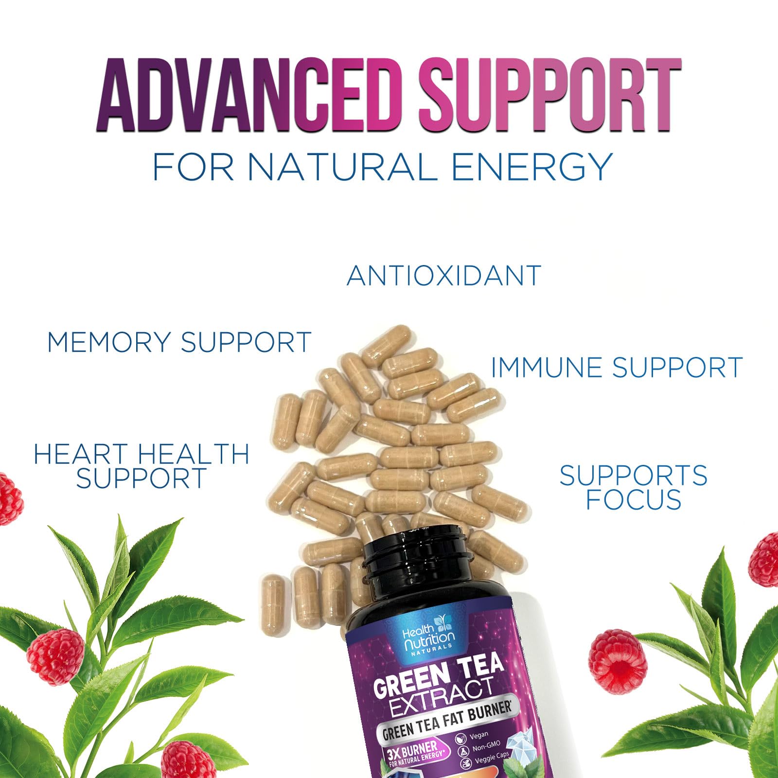 Ingredients panel for Green Tea Extract supplement