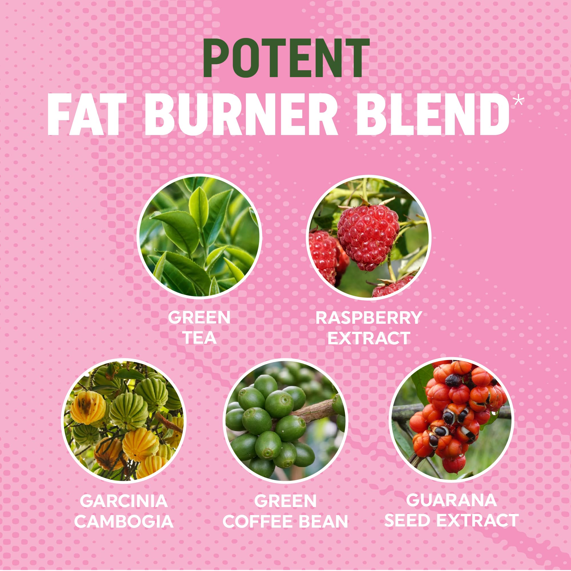 Green tea fat burner gummies packshot on white background