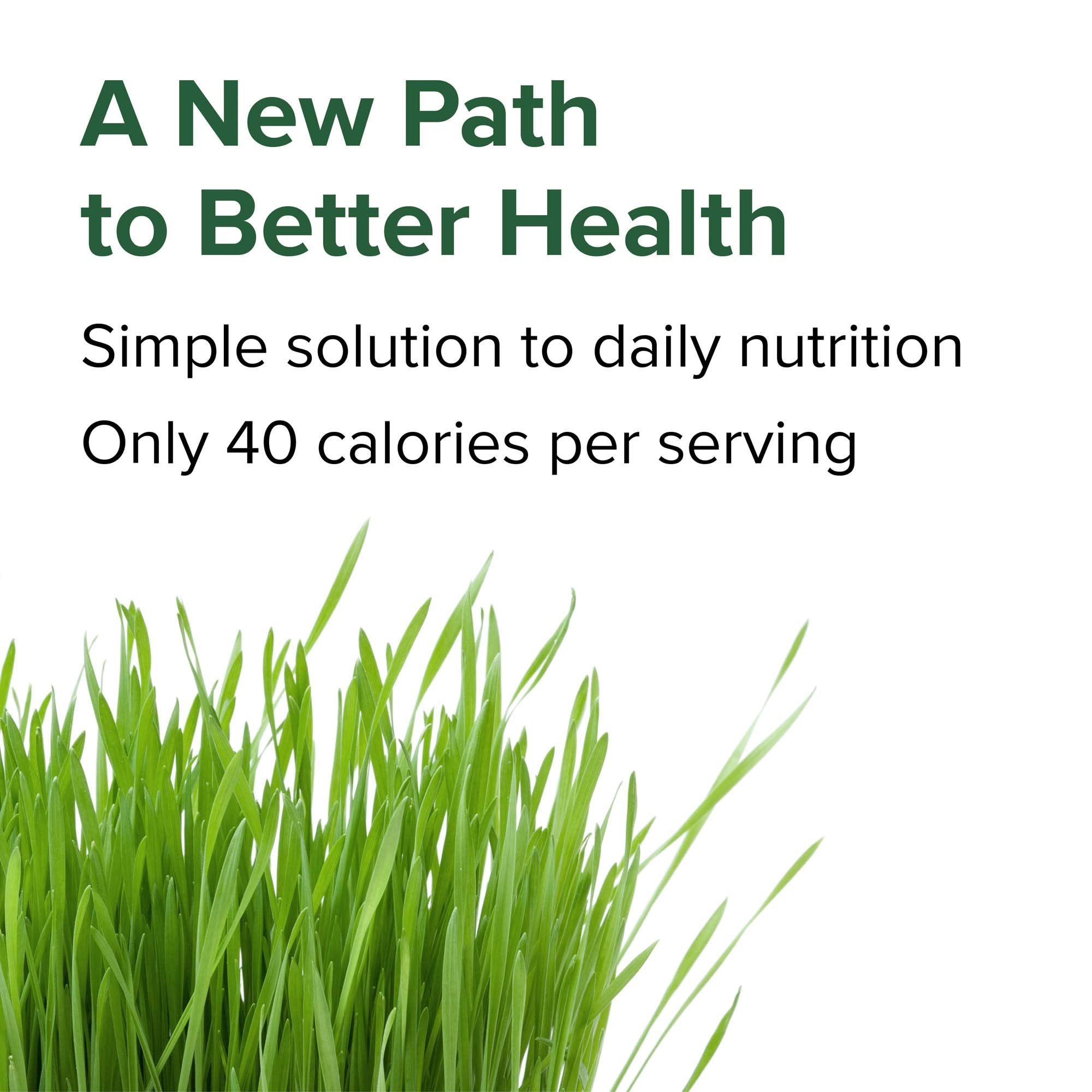 Close-up of Green Vibrance vegan superfood pills