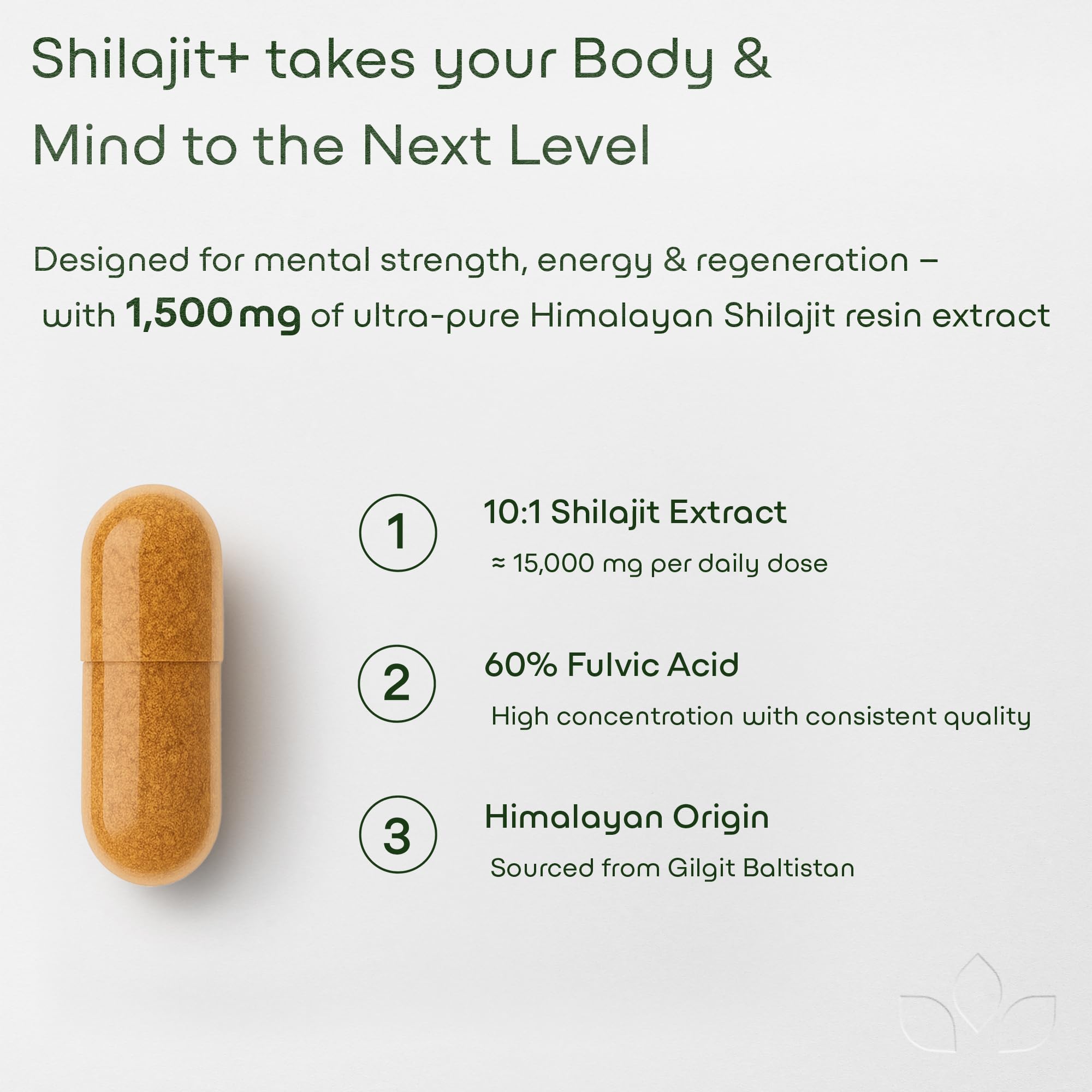 Close-up of shilajit capsules