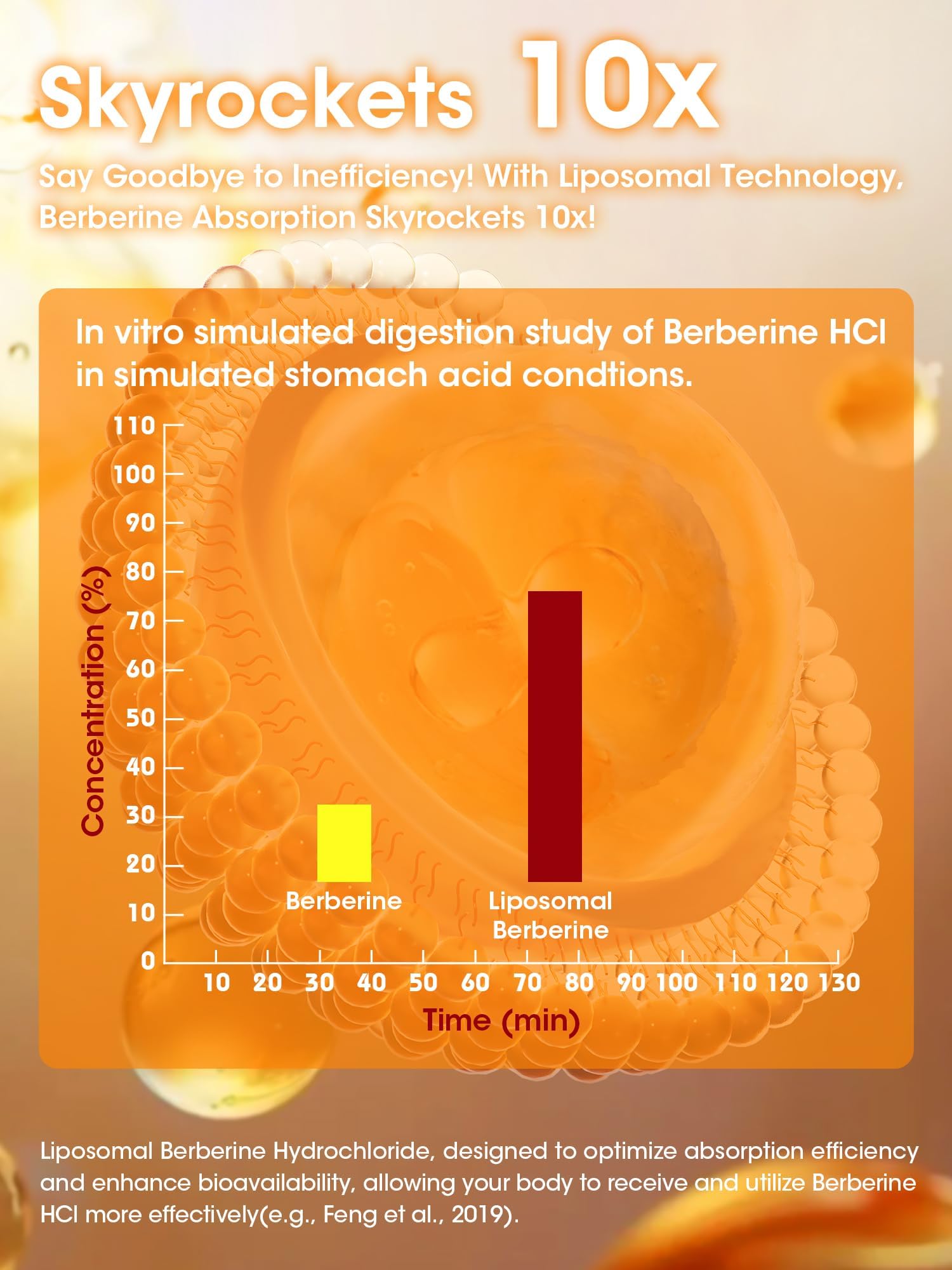 Berberine supporting immune health and wellness