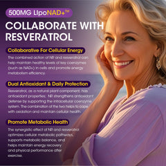 Ingredient highlights: NR, Resveratrol, Quercetin