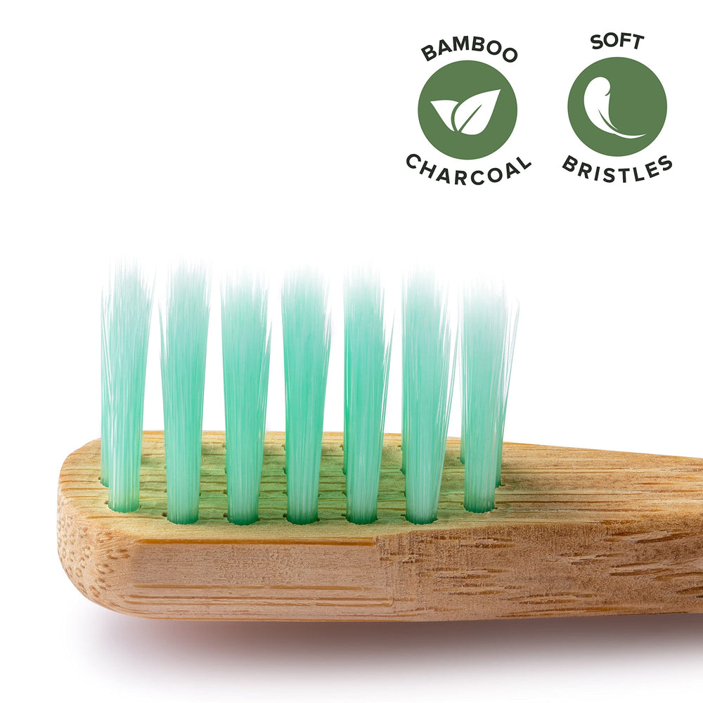 Colorful handles and bristles for kids