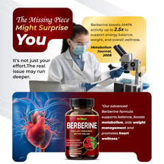 Berberine with Ceylon Cinnamon and Bitter Melon blend illustration