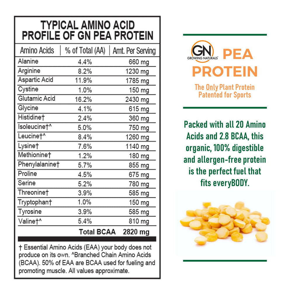 Growing Naturals raw pea protein scoop in a shaker bottle for protein-rich shakes.